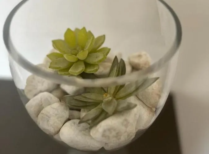 Casa Апартаменты Катания